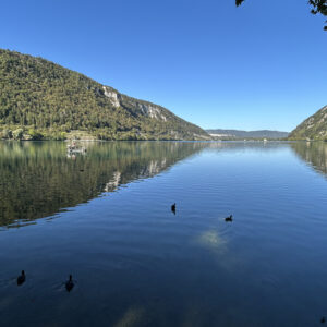 Img 4677